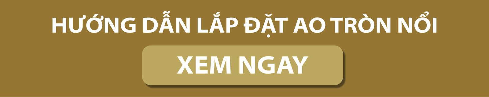 CTA AO TR&Ograve;N NỔI.png (46 KB)