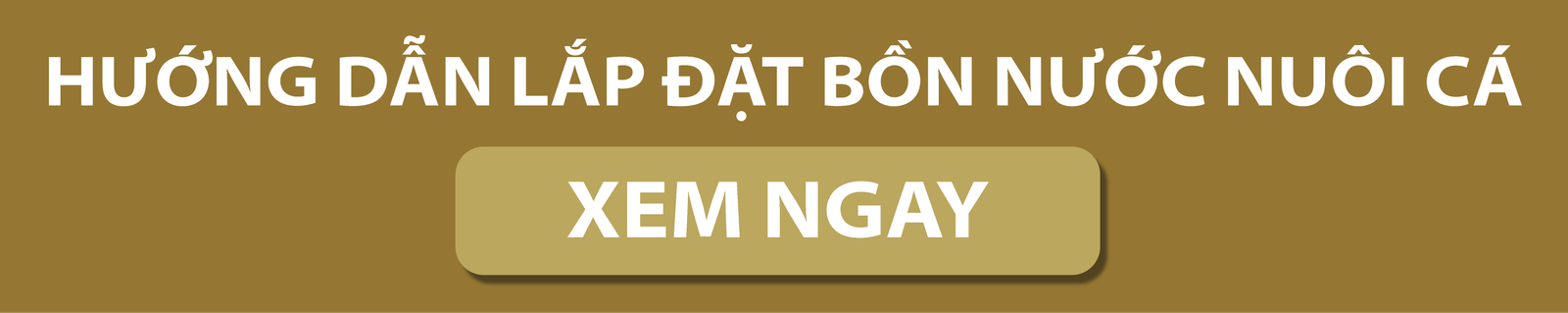 CTA BỒN NƯỚC NU&Ocirc;I C&Aacute;.png (48 KB)