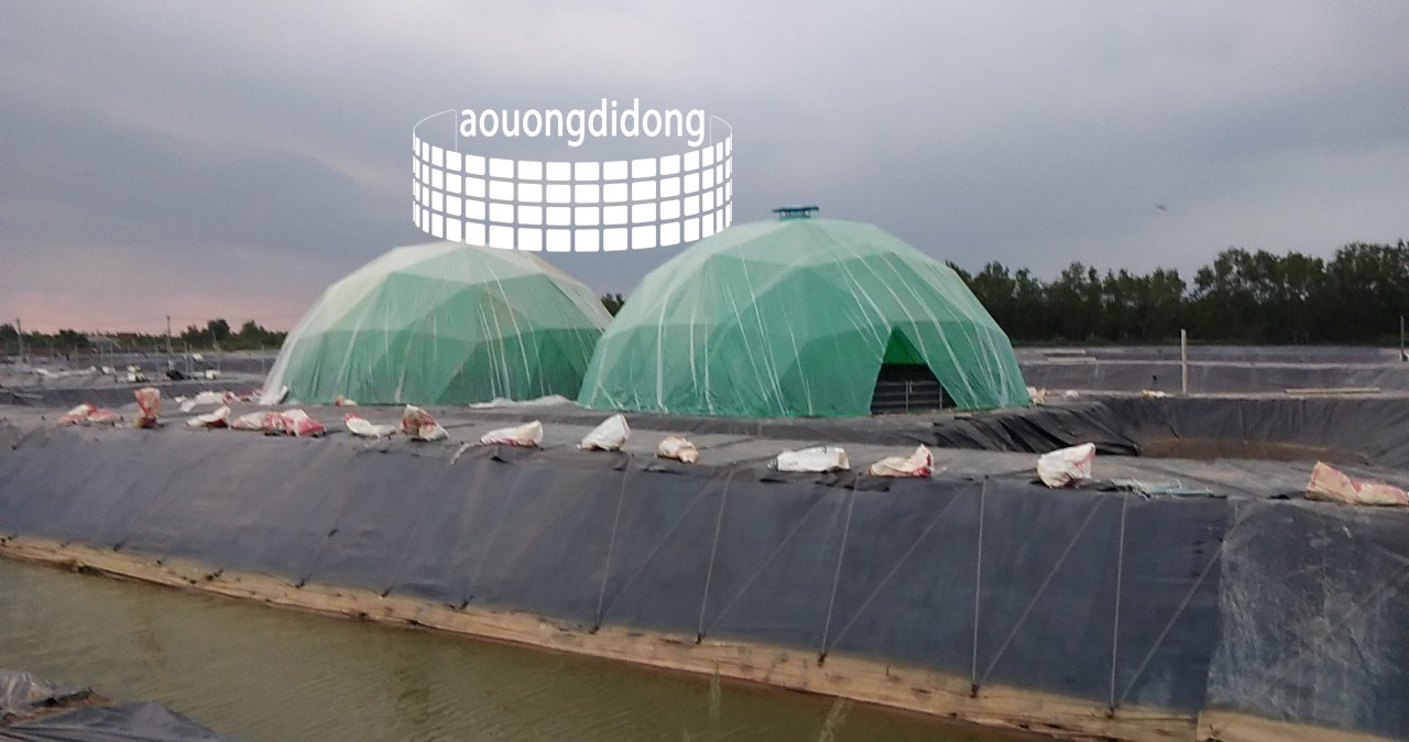 nuoi tom trong ao uong di dong.jpg (281 KB)