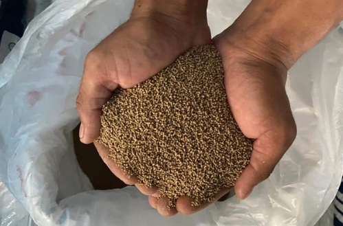 Types of Vannamei Shrimp Feeds to Make Your Shrimp Grow Faster
