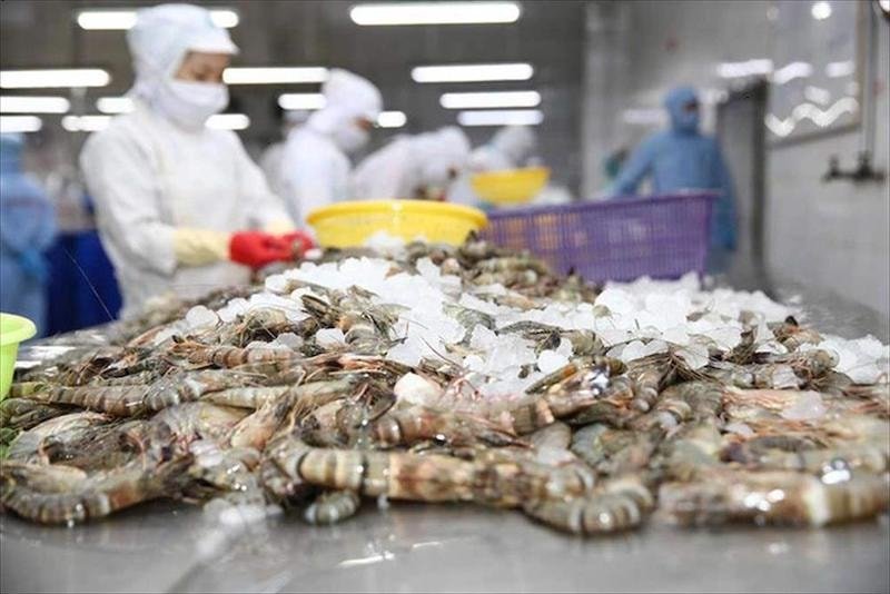 Giữ vùng tôm nguyên liệu để phát triển ngành hàng ‘tỷ đô’