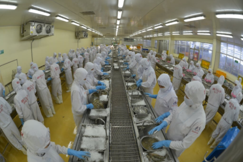 Vietnam becomes the second largest shrimp exporter in the world