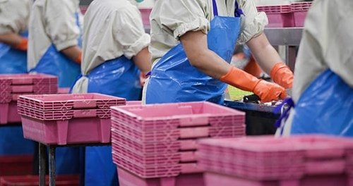 Xuất khẩu thủy sản quý I/2026 đạt 2,64 tỷ USD nhưng đối mặt nhiều rào cản thương mại